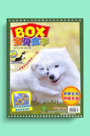 TreasureBOX 2021, Ages 7 to 9 (adult guidance: 3 to 6 y/o) (9 Issues)