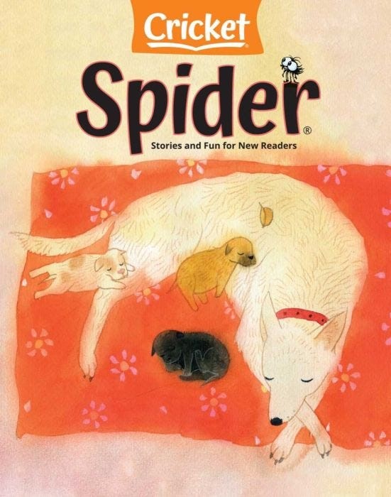 SPIDER 2021 Issue 5